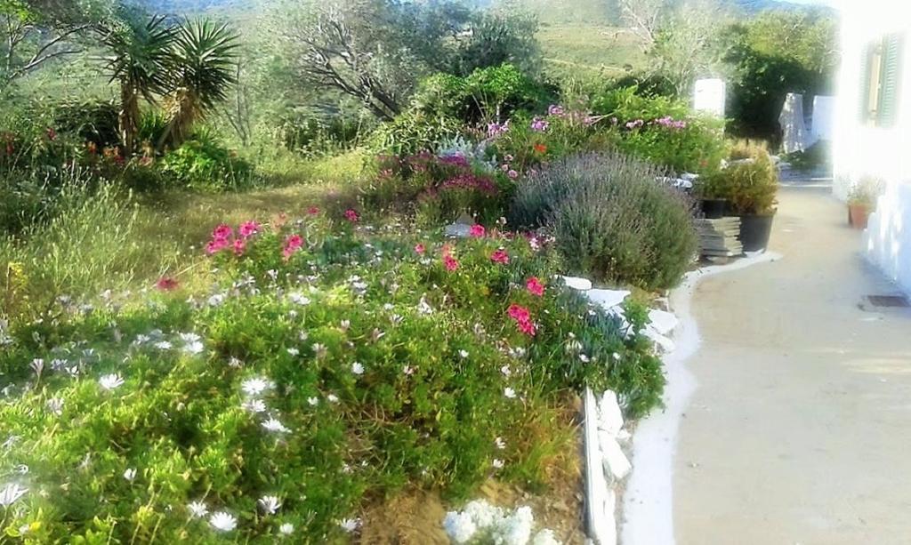 Avgoustis' Stone House Villa Otziás Dış mekan fotoğraf