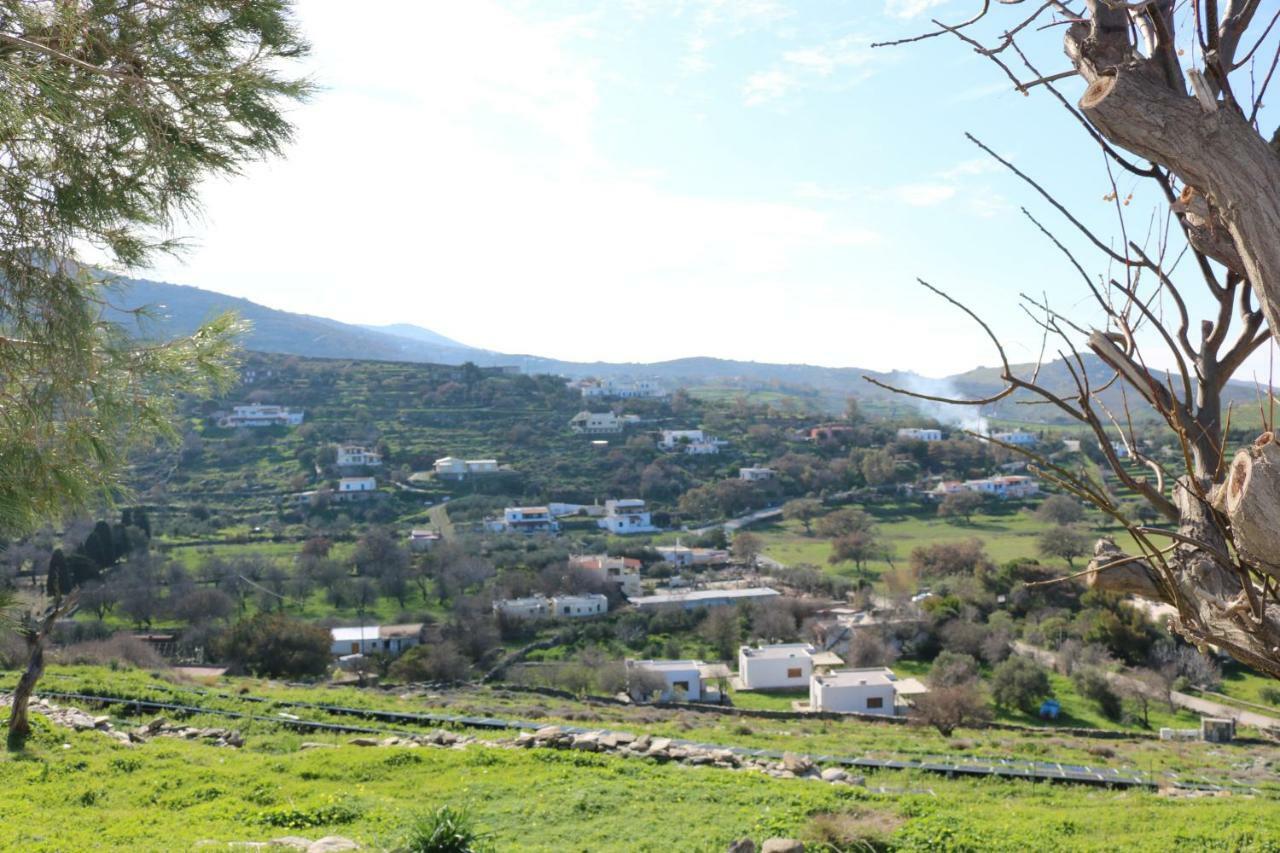 Avgoustis' Stone House Villa Otziás Dış mekan fotoğraf